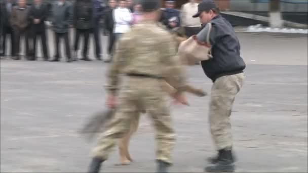 Treinamento militar da polícia — Vídeo de Stock