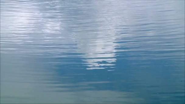 在自然界中的表面水 — 图库视频影像