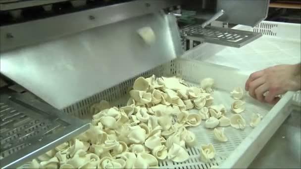 Mechanism For Production Of Ravioli — Stock Video