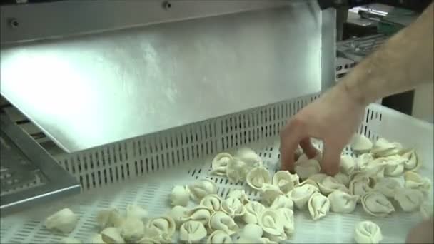 Mechanism For Production Of Ravioli — Stock Video