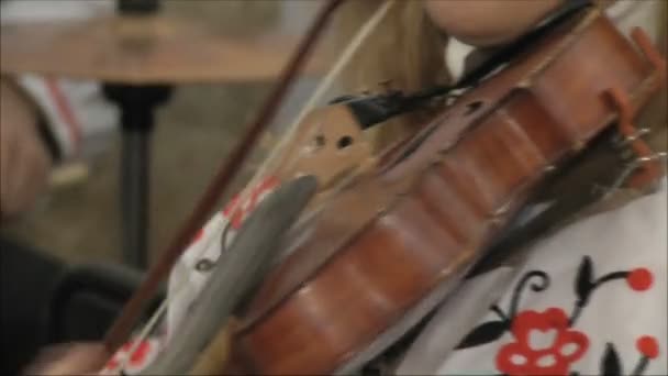 Vrouw die viool speelt — Stockvideo