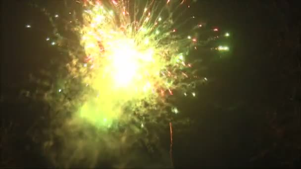 Fuegos artificiales de celebración en el cielo — Vídeos de Stock