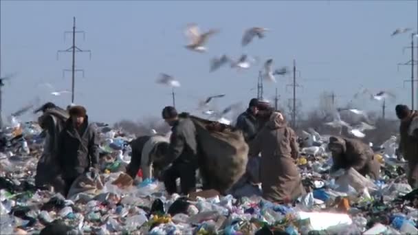 Homeless people on garbage dump — Stock Video