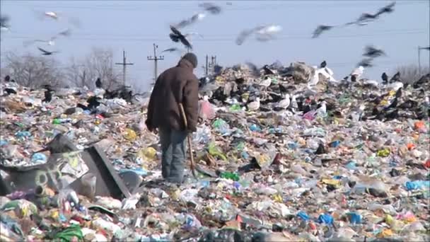 Homeless people on garbage dump — Stock Video