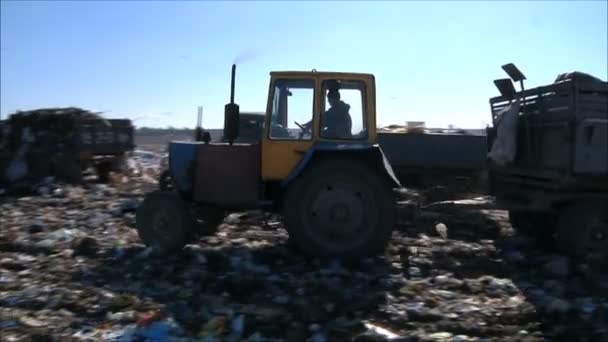 노숙자 들 쓰레기통에 — 비디오