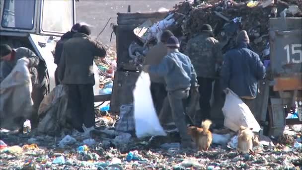 Бездомные на свалке — стоковое видео