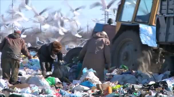 ホームレスの人々 のゴミ捨て場に — ストック動画