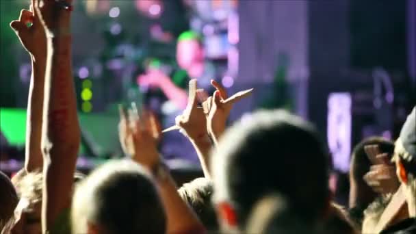 Publikum bei einem Rockfestival — Stockvideo