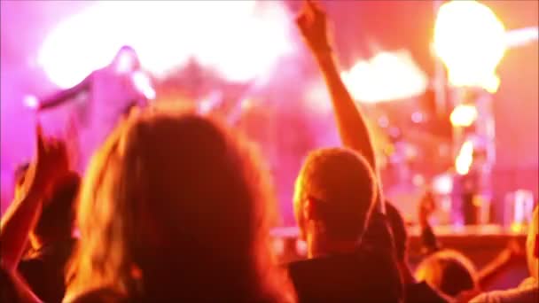 Auditoire à un festival de rock — Video