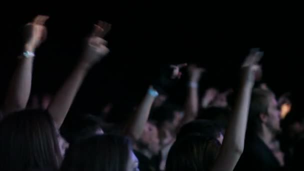 Audience at a rock festival — Stock Video