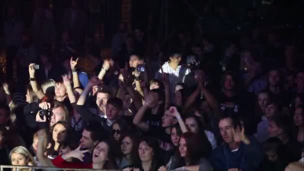 Publikum bei einem Rockfestival — Stockvideo