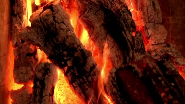 Baumstämme brennen im Lagerfeuer — Stockvideo