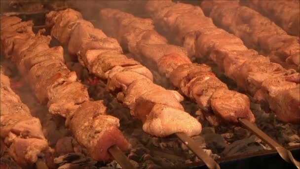 Meat roasting in the oven — Stock Video