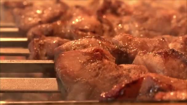 Meat roasting in the oven — Stock Video