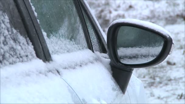 Voiture Rester dans la rue — Video