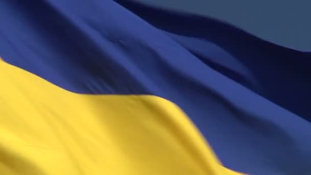 Ondeando bandera de Ucrania — Vídeo de stock