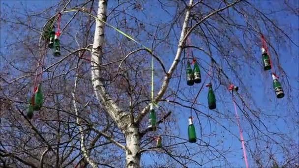 Bouteilles de champagne sur arbre 