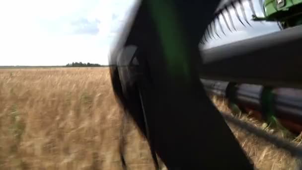 Cosechadora recoge el trigo — Vídeos de Stock