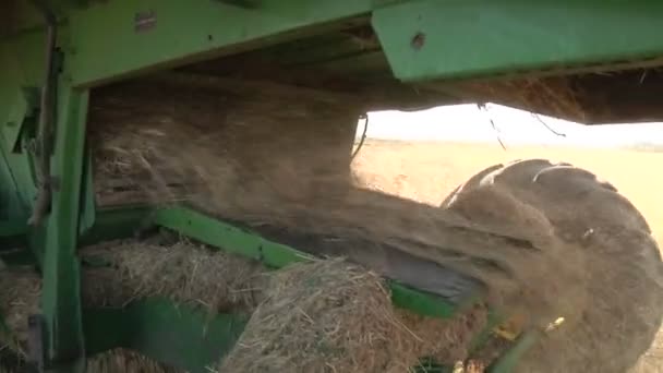 Sklízeč sbírá pšenice — Stock video