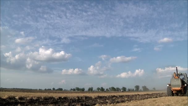 Erntemaschine sammelt den Weizen — Stockvideo