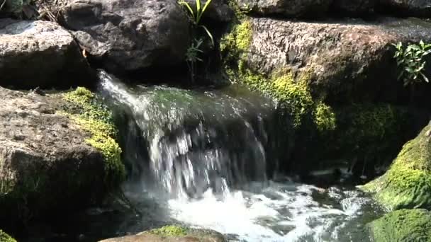 Water in de rivier berg — Stockvideo