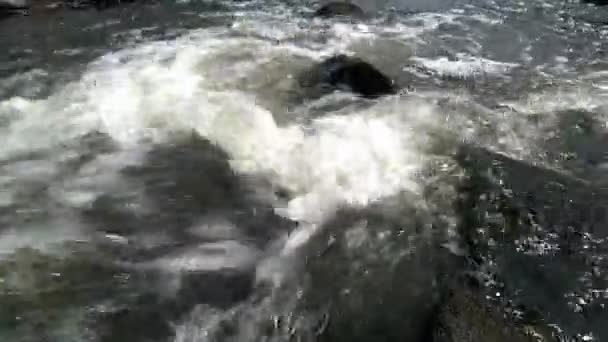 Agua en el río de montaña — Vídeo de stock