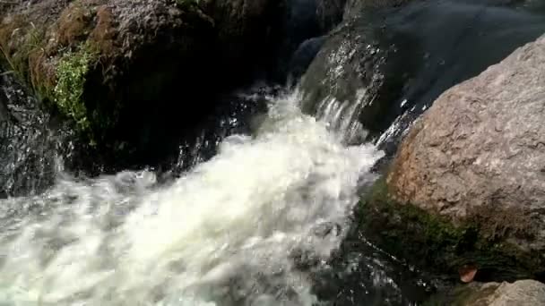 Вода в горной реке — стоковое видео