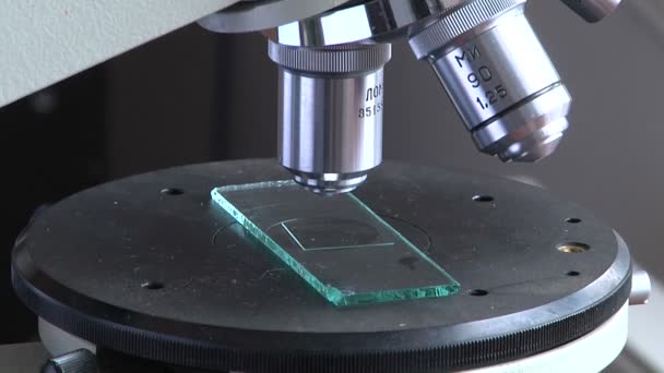 Wetenschapper op zoek naar de Microscoop — Stockvideo