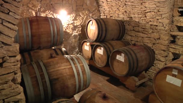 Old wine cellar with barrels — Stock Video