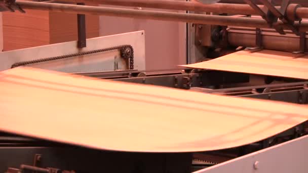 厂方生产的纸板 — 图库视频影像