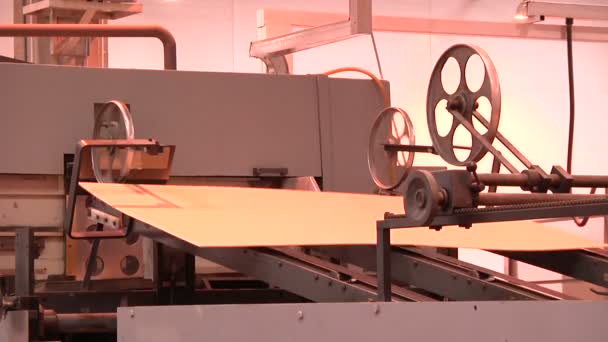 Factory of production of cardboards — Stock Video