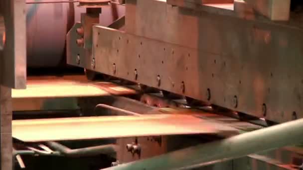 Fabriek van productie van karton — Stockvideo