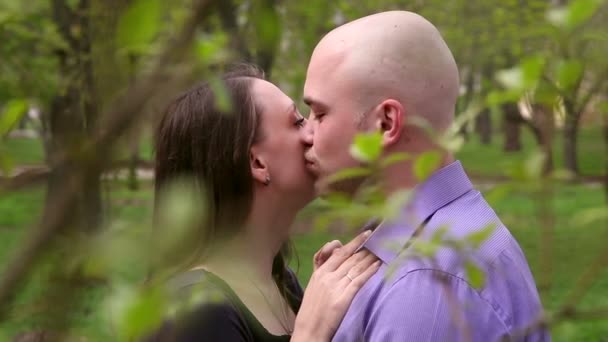 Couple aimant dans le parc — Video