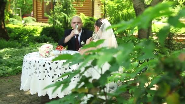 Noiva e noivo bebendo champanhe — Vídeo de Stock