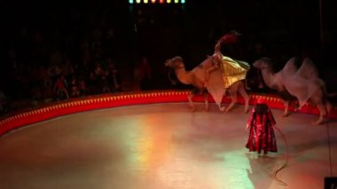 Deve ve sanatçılar ile performans