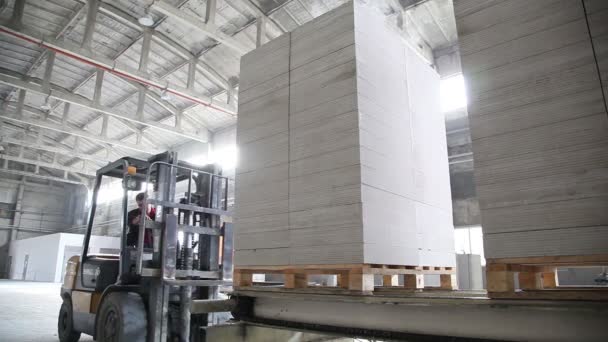 Trasporto di mattoni in fabbrica — Video Stock