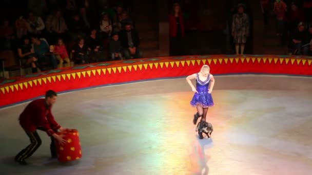 Продуктивність в цирк-шапіто — стокове відео