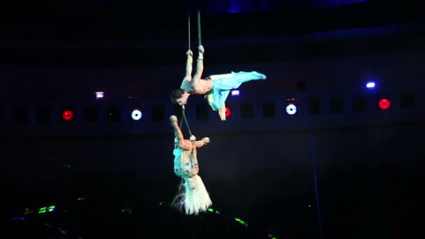 Couple aerialists encerclant — Video