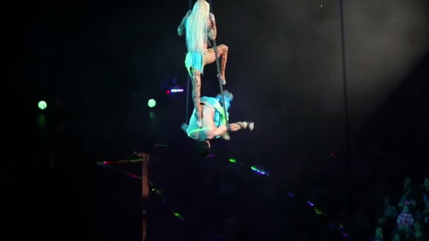 Paar aerialists cirkelen — Stockvideo