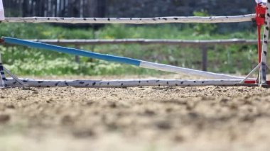 Atlı spor yarışmaları