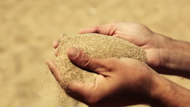 Песок в руках человека — стоковое видео