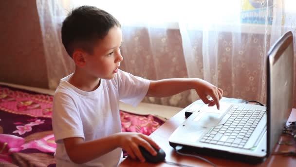 Menino brincando em um laptop , — Vídeo de Stock