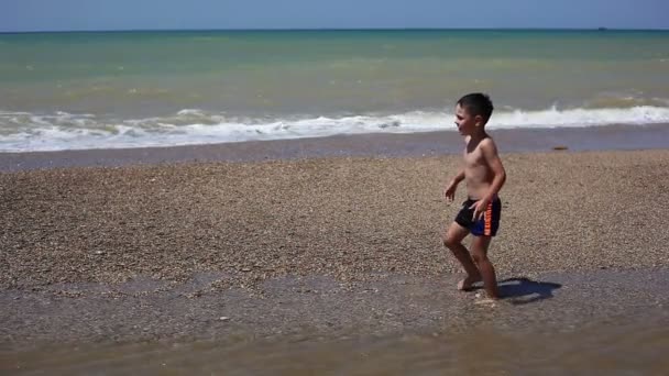 Chłopiec bawiący się na plaży — Wideo stockowe