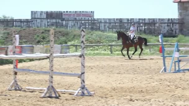 Competições no desporto equestre — Vídeo de Stock