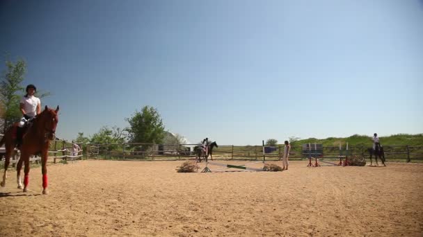 Competições no desporto equestre — Vídeo de Stock