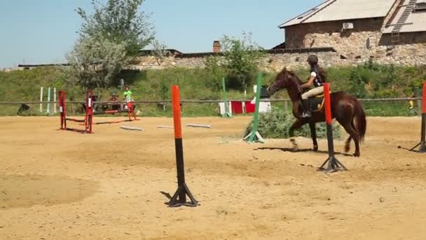 Competições no desporto equestre — Vídeo de Stock