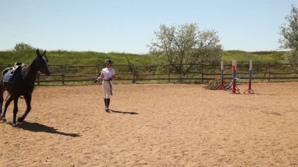 Wedstrijden in de hippische Sport — Stockvideo