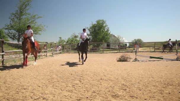 Competições no desporto equestre — Vídeo de Stock