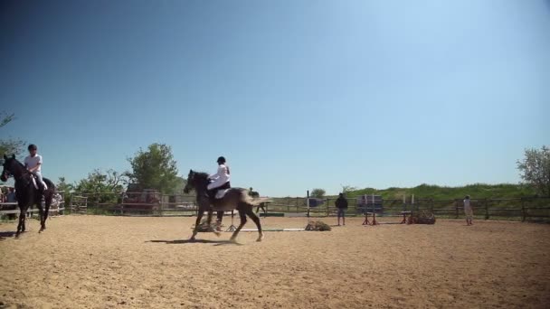 Wedstrijden in de hippische Sport — Stockvideo