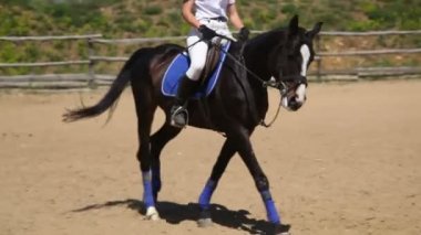 Atlı spor yarışmaları